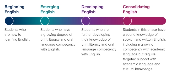 An infographic showing the four progressive stages of learning English, which are beginning, emerging, developing and consolidating, with descriptions for each stage sourced from the ACARA EAL/D Learning Progression