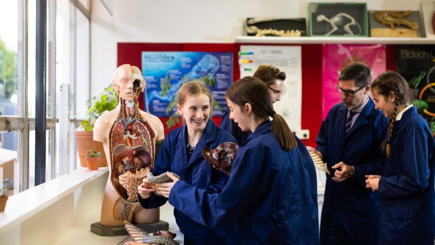 Students looking at human anatomy model